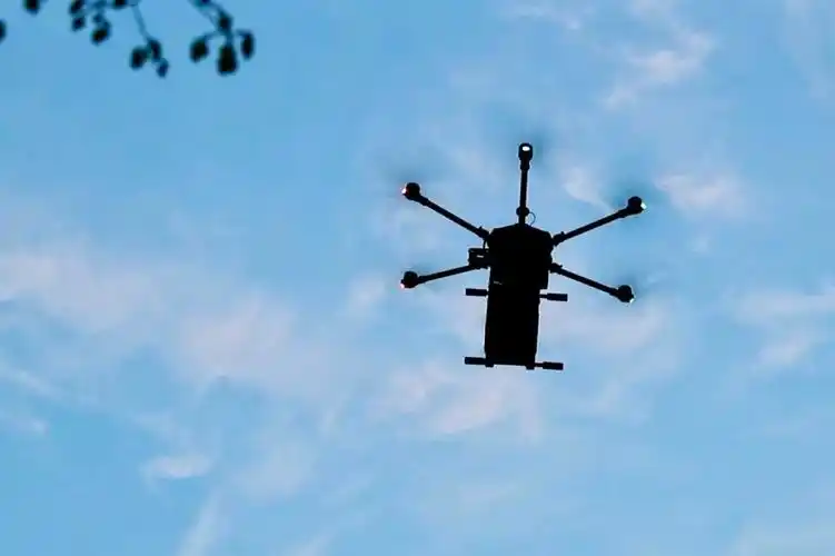 无人机农林应用仿真：精准农业的数字化基础